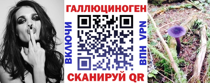 блэк спрут ТОР  Шумерля  Псилоцибиновые грибы Magic Shrooms 