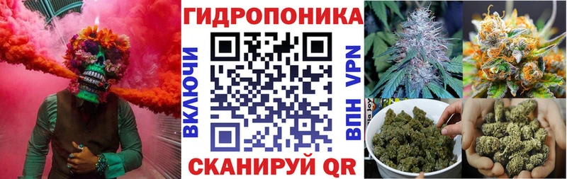 Шишки марихуана SATIVA & INDICA  магазин  наркотиков  Шумерля 